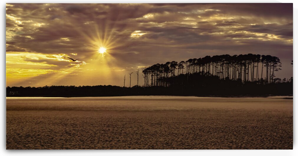 Myrtle Beach Sunset Preserve by Norma Brandsberg Photography