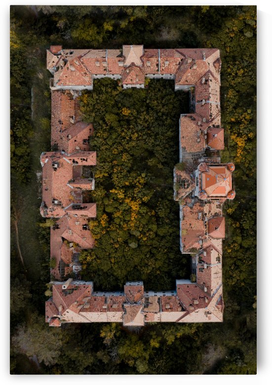 Abandoned Chateau In Overgrowned Forest by Steve Ronin