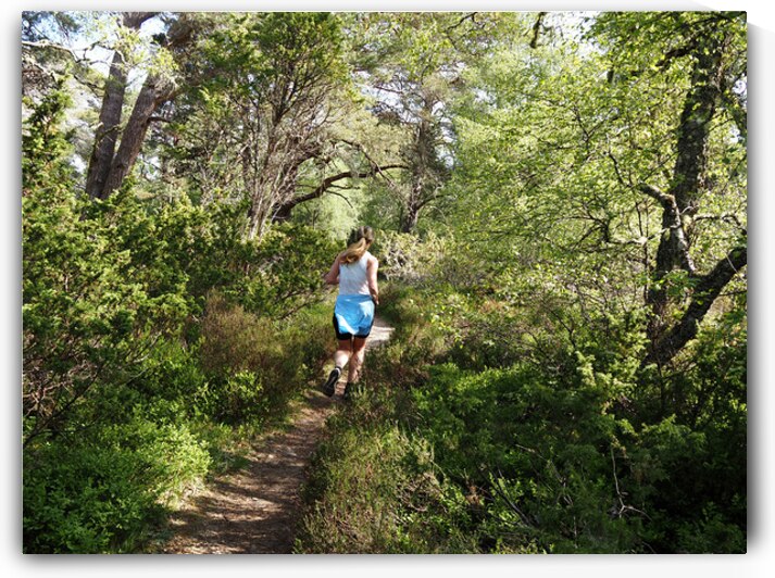 Scottish Highlands Trail Runner                                                                                                                      by Catriona Roberts Nature Photography and Designs