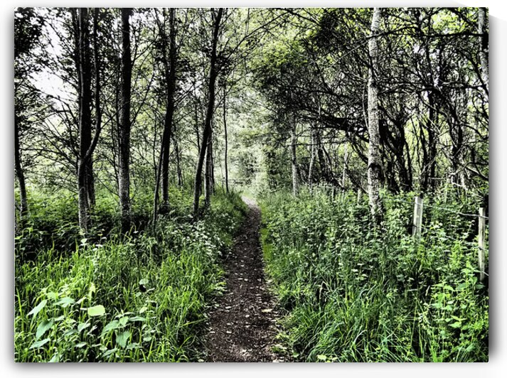 Natures Colourful Flow through the Scottish Highlands                                                                                                                      by Catriona Roberts Nature Photography and Designs