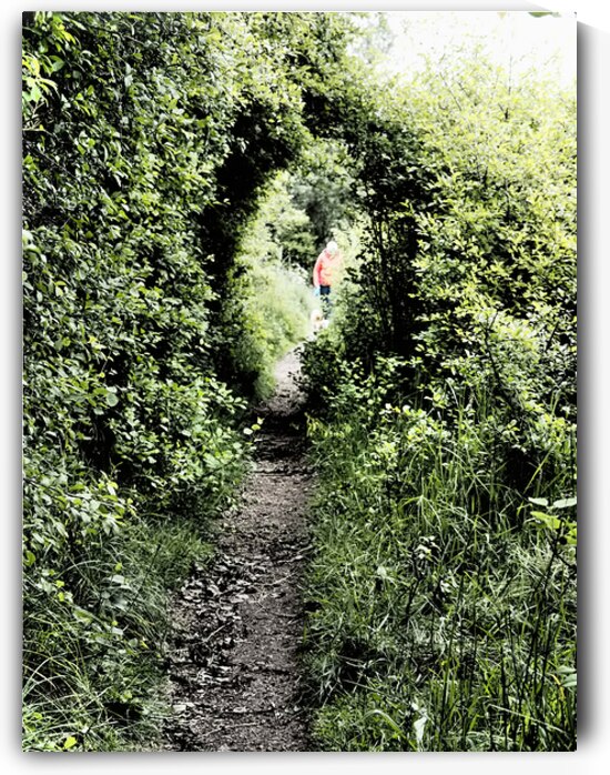 Scottish Highlands Spring Nature Trail                                                                                                             by Catriona Roberts Nature Photography and Designs