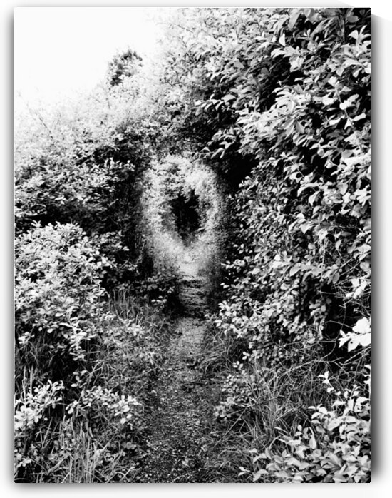   Natures Corridor through the Scottish Highlands                                                                                                                      by Catriona Roberts Nature Photography and Designs