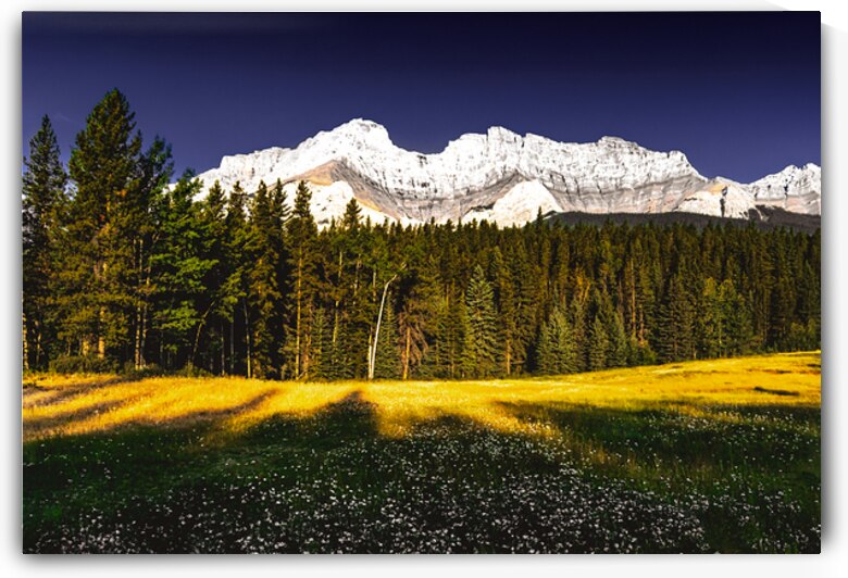 Minnewanka Meadow by Norma Brandsberg Photography