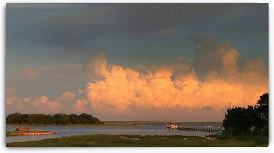 Fullscreen capture 3252020 84400 AM by Wilapics Art