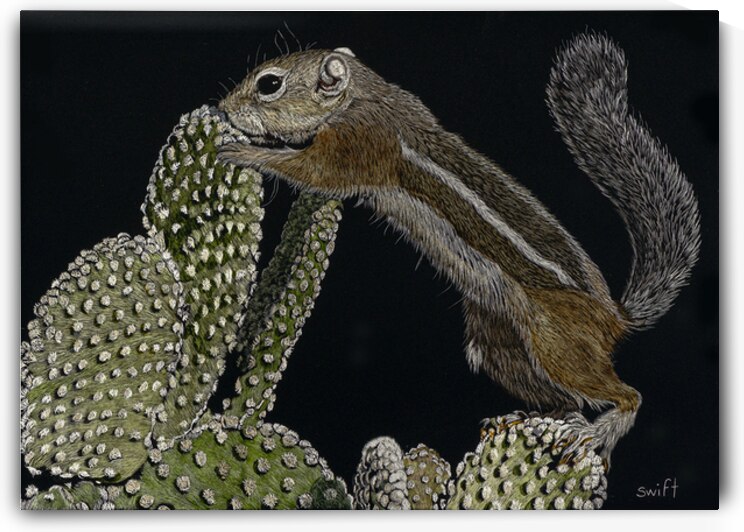 Thats A Stretch by Sonja Jones   BYOB Artwork