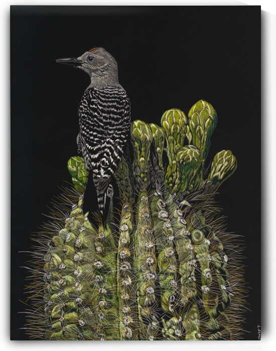 Almost In Bloom by Sonja Jones   BYOB Artwork