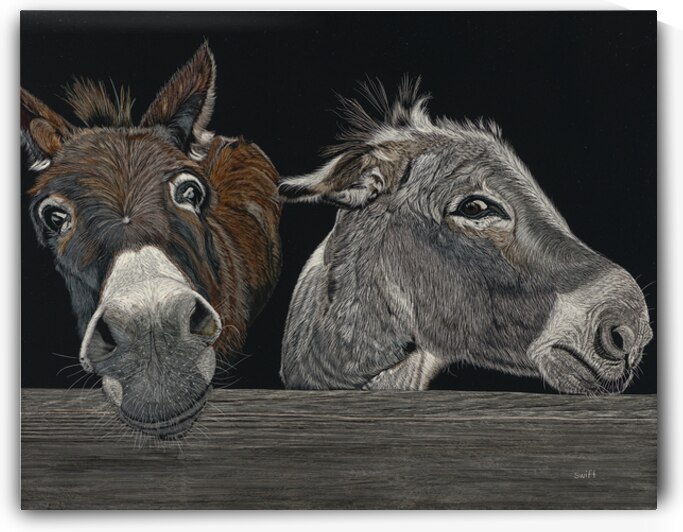 A Couple of Asses   by Sonja Jones   BYOB Artwork