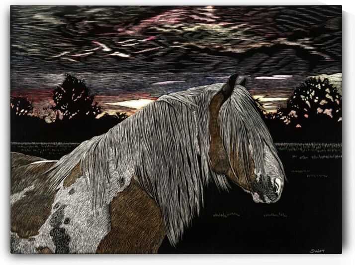 Sunset On The Paddock by Sonja Jones   BYOB Artwork