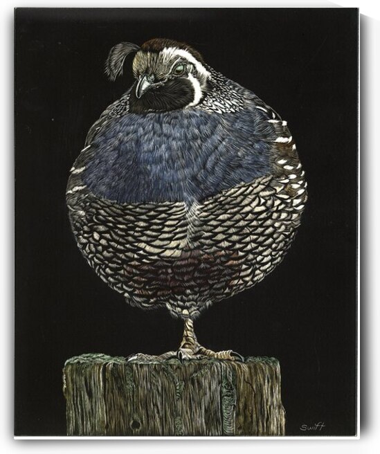 Balancing Act by Sonja Jones   BYOB Artwork