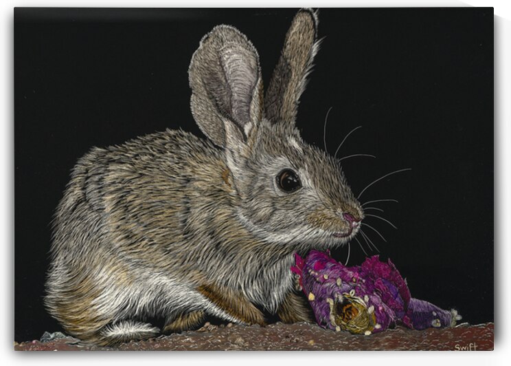 Jacks Rabbit  by Sonja Jones   BYOB Artwork