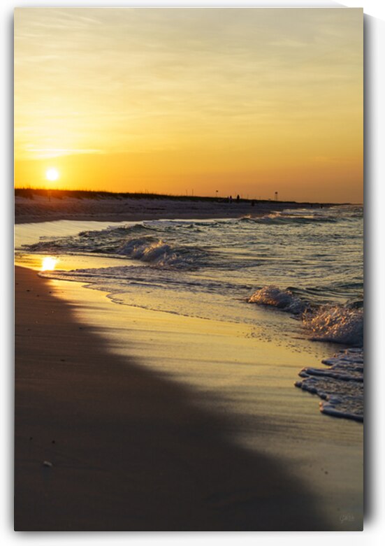 Gulf Coast Golden Coastline Waves by Jennifer White