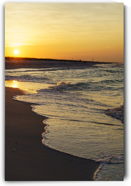Gulf Coast Golden Waves Shoreline by Jennifer White
