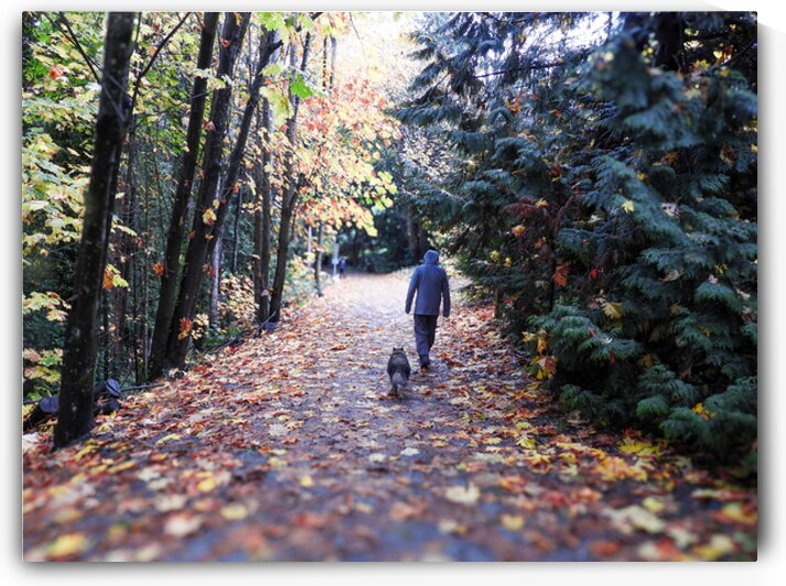 Autumn Walk by Wild at Heart Photography