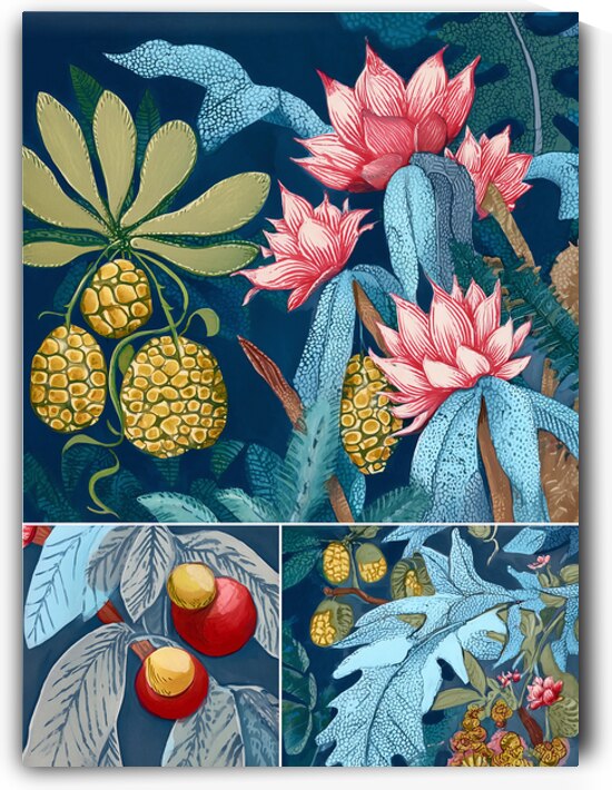 exotic flowers illustration  by Ariadna-de-Raadt