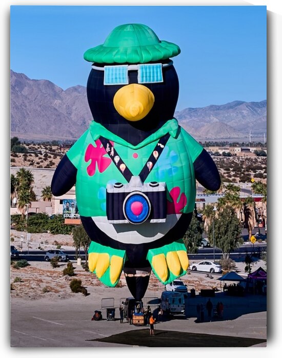 Penguin Photographer Hot Air Balloon by Ryan Cameron
