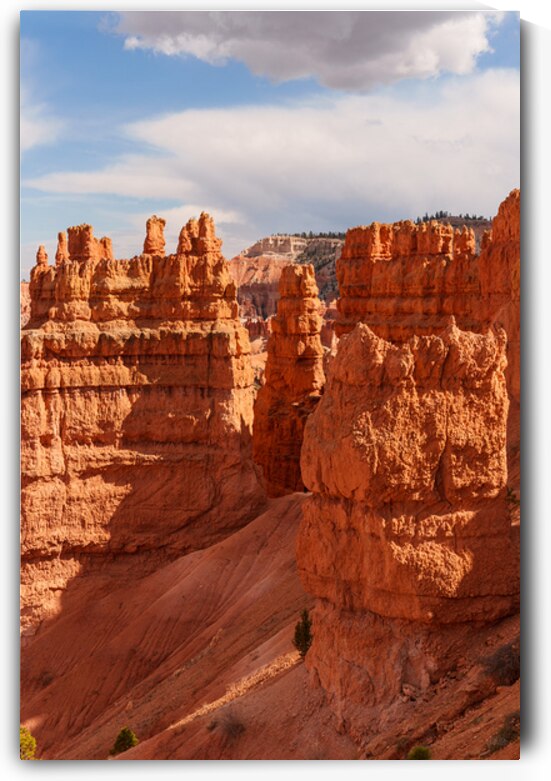 Sunset Point Hoodoos Vertical by Jennifer White