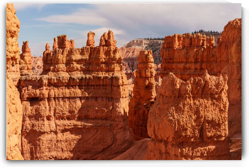 Sunset Point Hoodoos by Jennifer White