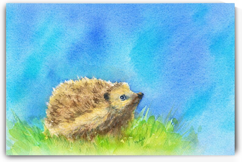 Hedgehog in spring watercolor painting by Karen Kaspar