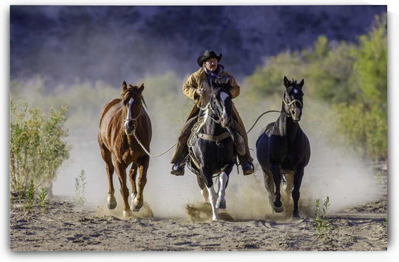 Dusty Trail by Trey Neal  Natures Wildscapes