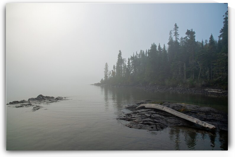 Makay Cove Bent Driftwood Print by Stephen Emms