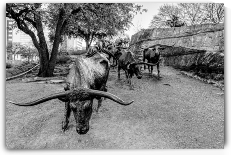 Looking Down Dallas Bull Run Grayscale by Jennifer White