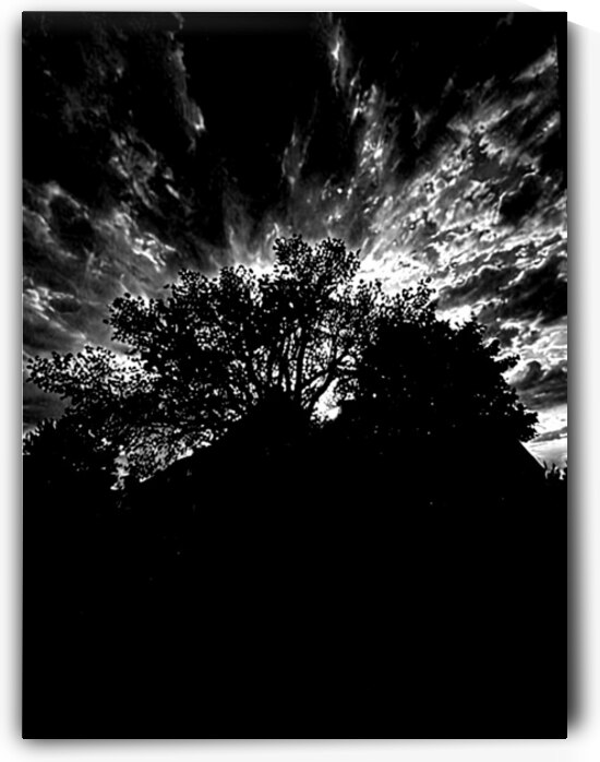 IMG 3037 by burtonmorgan
