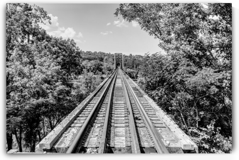 Cotter Arkansas Railroad Tracks Grayscale by Jennifer White