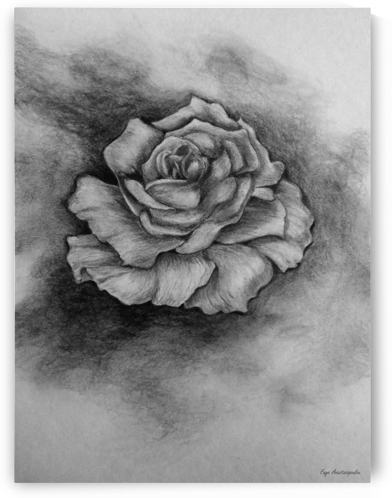 Single Rose by Faye Anastasopoulou
