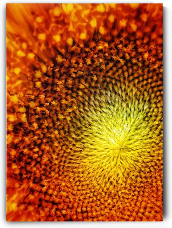 Resonate with The Sun by Brigitte Center