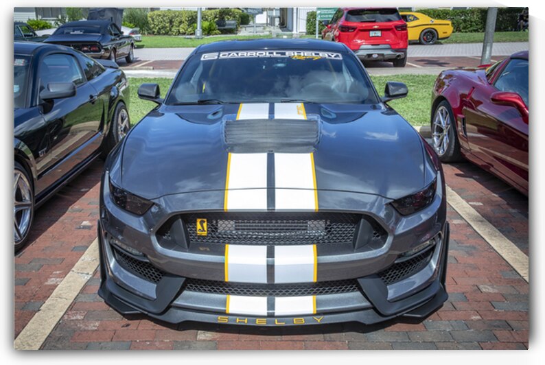 2016 Gray Ford Shelby Mustang GT350 X1 1 by Rich Franco