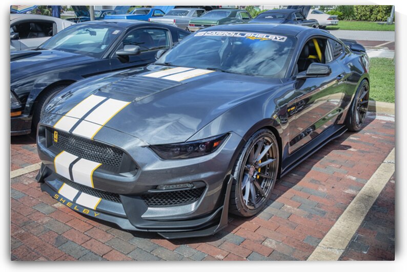 2016 Gray Ford Shelby Mustang GT350 X1 8 by Rich Franco