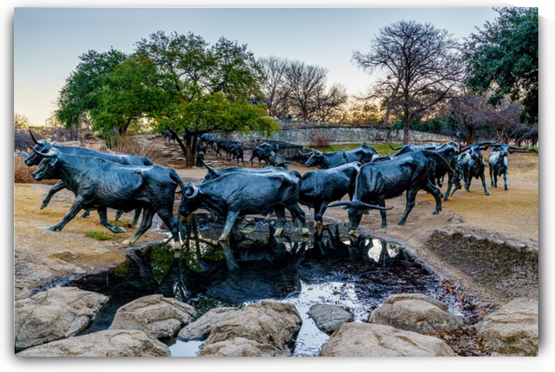 Dallas Bull Run Creek Crossing by Jennifer White
