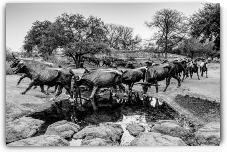Dallas Bull Run Creek Crossing Grayscale by Jennifer White