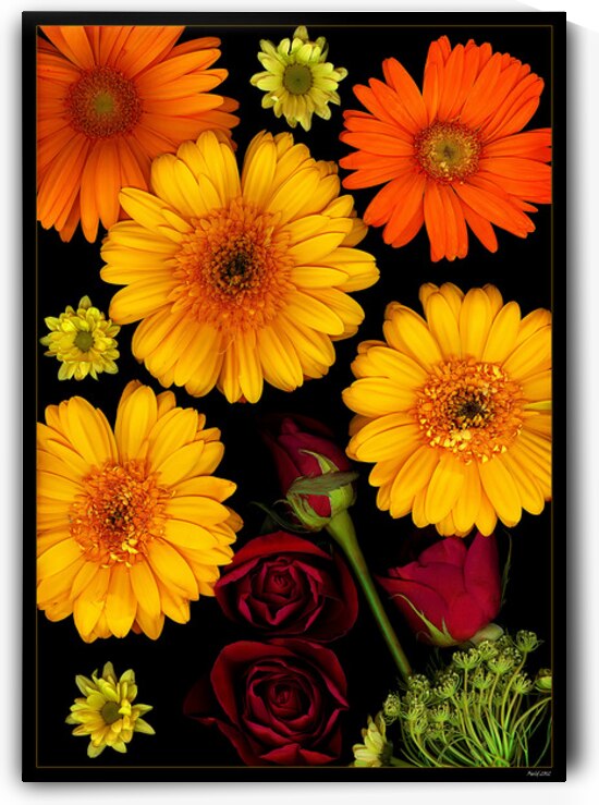 Mothers Day Flowers 1 by FieldScapes