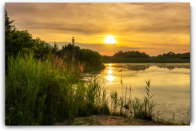 Cape May Light Sunset from Bunker Pond by Jason Fink