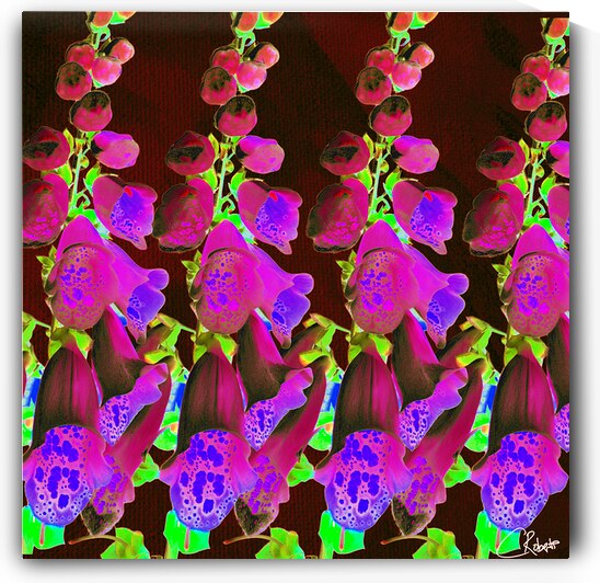Abstract Foxgloves by Catriona Roberts Nature Photography and Designs