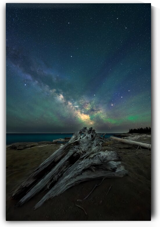 Adrift in the Cosmos by Rick Berk