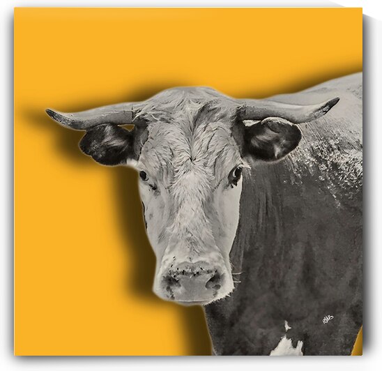 Farm Cow Original Abstract Photography on Dark Yellow Background by By:Zo Art Print Collection   by Maria Desnoyers