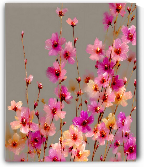 Eveil Des Petales - Awakening Of Petals - Modern Floral Art Prints by Savage Art Prints