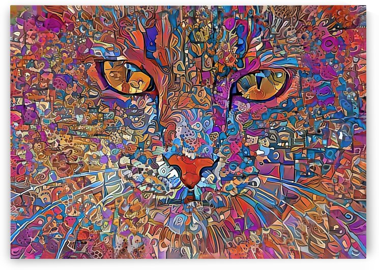 Murphy The Colorful Tabby Cat by HH Photography of Florida