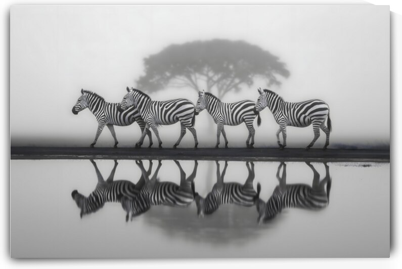 Led Beside Still Waters - Monochrome Landscape Art Prints by Savage Art Prints