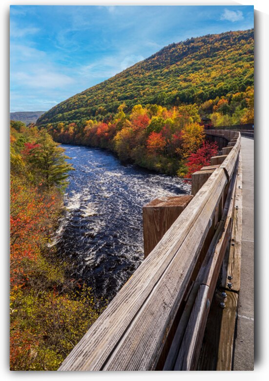 Fall Portrait Nesquehoning Bridge by Jason Fink