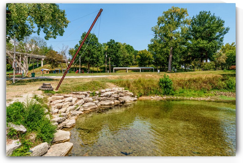 Arkansas Big Spring Rope Swing by Jennifer White