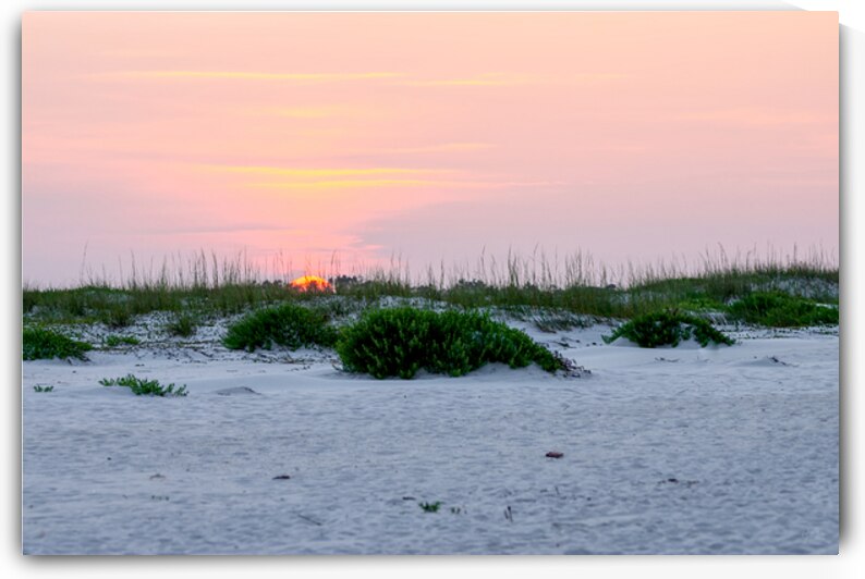 Here Comes The Sun In Navarre by Jennifer White