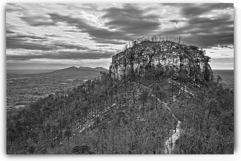 Pilot Mountain by Andy Crawford