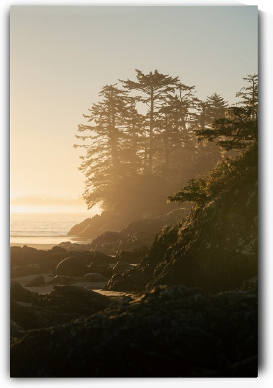 A New Day by Ryan Wilkes