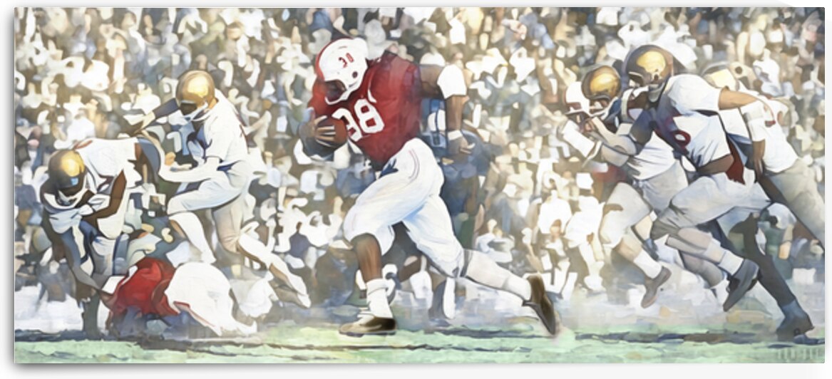 Prentice Gautt Oklahoma Sooner Touchdown Run by Row One Brand