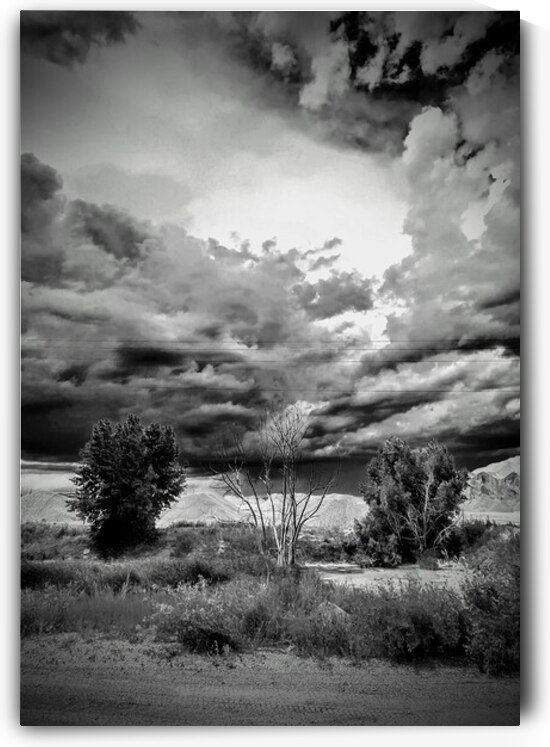 The Dead Inbetween. by David W Moore II