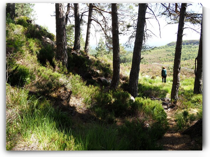  A Hill Top View in the Scottish Highlands                                                                                                                     by Catriona Roberts Nature Photography and Designs