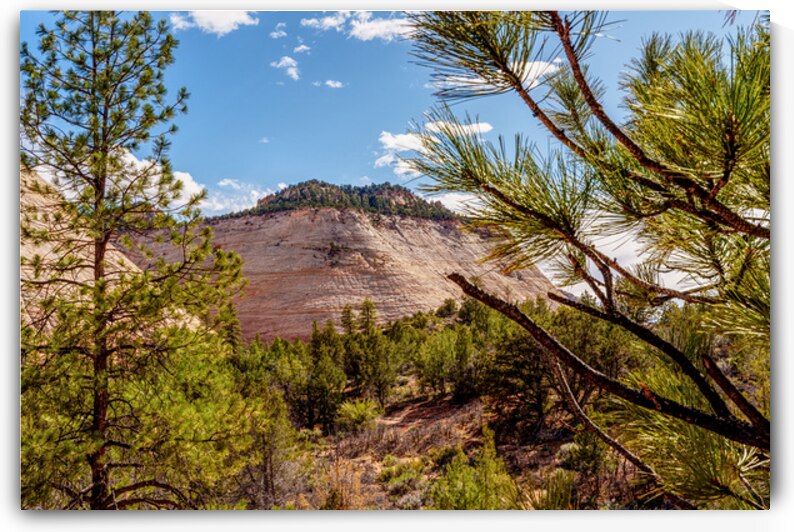 Zion Crazy Quilt Mesa by Jennifer White